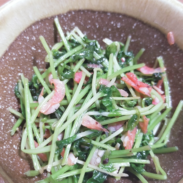 5分!豆苗と乾燥小エビの炒めもの